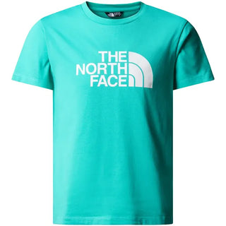 THE NORTH FACE T-SHIRT SHORT SLEEVES EASY JR NF0A87T6PIN