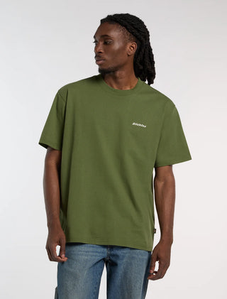 DICKIES T-SHIRT LORETTO UOMO DK0A89ENK72