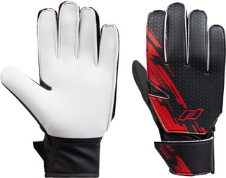 PRO TOUCH FORCE 30 BG II GUANTI PORTIERE 431590 900
