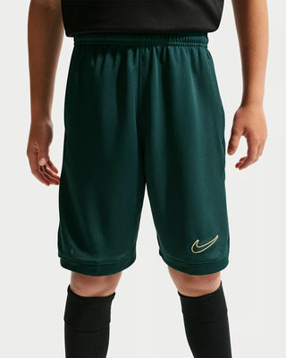 NIKE PANTALONCINI IN DRI-FIT IF2770 378
