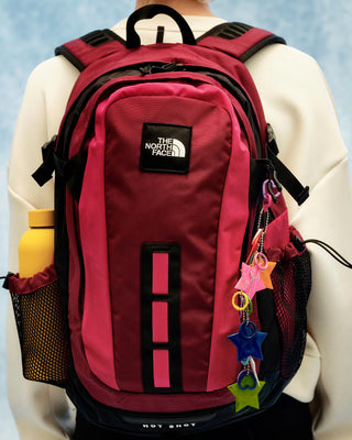 THE NORTH FACE ZAINO HOT SHOT SE NF0A3KYJWWN