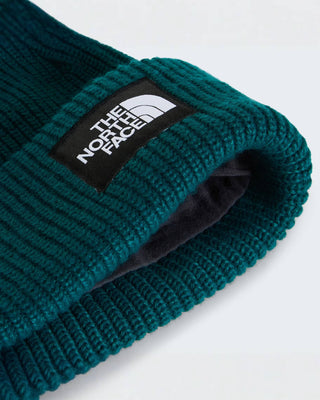 THE NORTH FACE CAPPELLO IN LANA SALTY LINED BEANIE NF0A8CGZN4J1