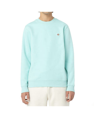 DICKIES FELPA GIROCOLLO OAKPORT UOMO DK0A4XCEJ591