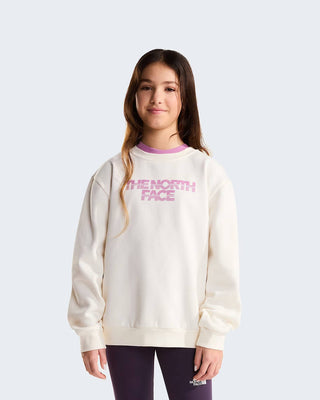 THE NORTH FACE FELPA CHALBI JR NF0A8JH0QLI1