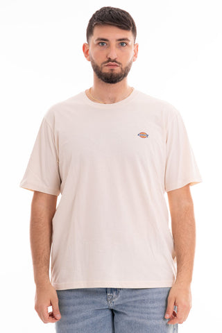 DICKIES MEN'S T-SHIRT SHORT SLEEVE MAPLETON DK0A4XDBF901