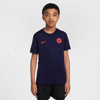 NIKE T-SHIRT DRI FIT ACADEMY25 HV0229 498