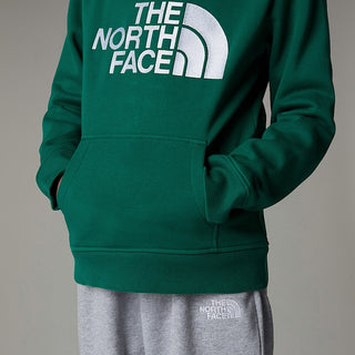 THE NORTH FACE FELPA CON CAPPUCCIO E LOGO JR NF0A89HHNL1