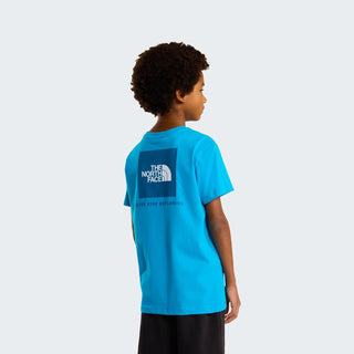 THE NORTH FACE T-SHIRT BOX NSE NF0A8EFND7R