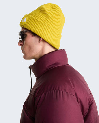 THE NORTH FACE CAPPELLO IN LANA SALTY LINED BEANIE NF0A8CGZNO71
