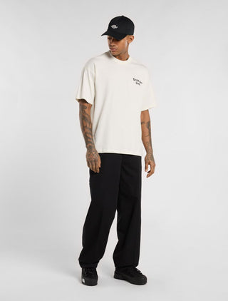 DICKIES T-SHIRT STATESVILLE UOMO DK0A87QOC481