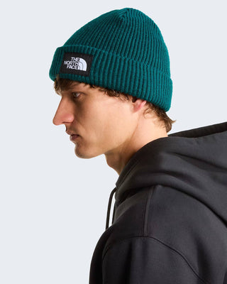 THE NORTH FACE CAPPELLO IN LANA SALTY LINED BEANIE NF0A8CGZN4J1