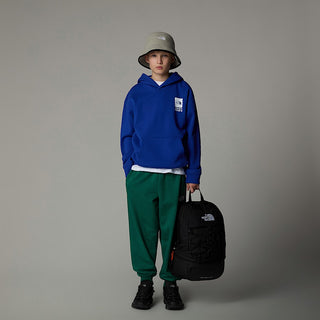 THE NORTH FACE COORDINATES PRINTED SWEATSHIRT JR NF0A89HKCZ6