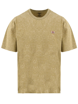 DICKIES NEWINGTON SHORT MISSING T-SHIRT DK0A4YROJ491