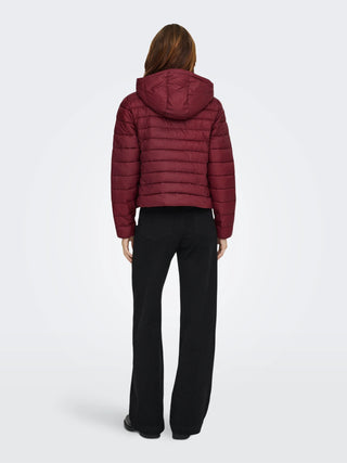 ONLY GIUBBOTTO TAHIA QUILTED CON CAPPUCCIO DONNA 15352020 CBT