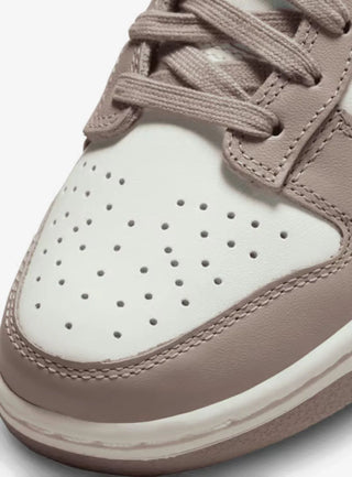 NIKE Dunk Low Retro DD1503 125