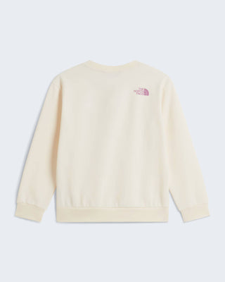 THE NORTH FACE FELPA CHALBI JR NF0A8JH0QLI1