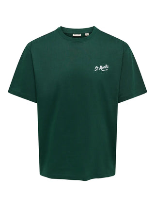 ONLY&SONS FRED T-SHIRT CON STAMPA 22038836 AVG