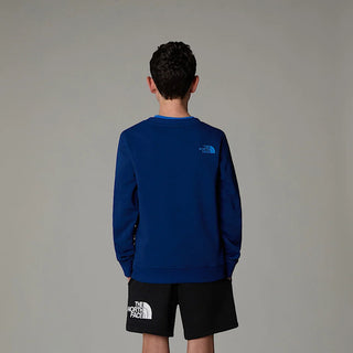 THE NORTH FACE DREW PEAK LIGHTWEIGHT SWEATSHIRT WITH EMBROIDERED LOGO ON THE FRONT AND PRINTED LOGO ON THE BACK JR NF0A8AXXD1R
