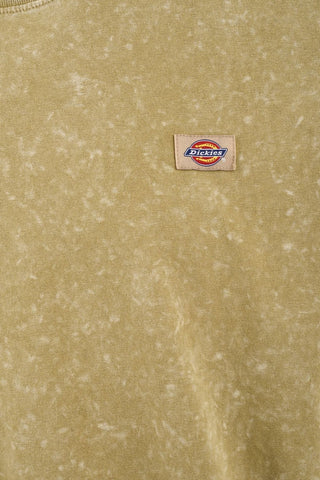 DICKIES NEWINGTON SHORT MISSING T-SHIRT DK0A4YROJ491