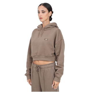DICKIES OAKPORT HOODIE WOMEN DK0A4XJTMR11