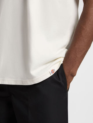 DICKIES LEWINSTONE SHORT SLEEVE BACK PRINT T-SHIRT MEN DK0A4Z8ZC481