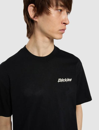 DICKIES T-SHIRT STATESVILLE UOMO DK0A87QPBLK1