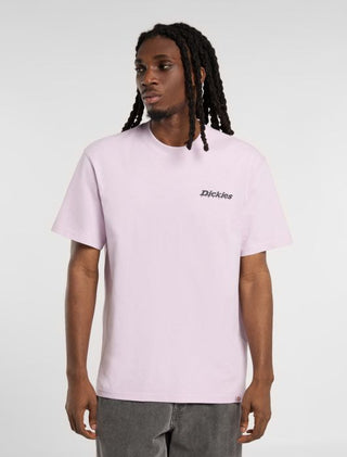 DICKIES T-SHIRT STATESVILLE UOMO DK0A87QPK731