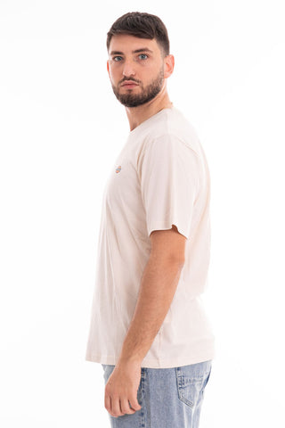 DICKIES MEN'S T-SHIRT SHORT SLEEVE MAPLETON DK0A4XDBF901