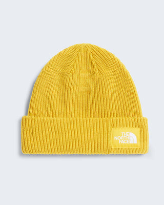 THE NORTH FACE CAPPELLO IN LANA SALTY LINED BEANIE NF0A8CGZNO71