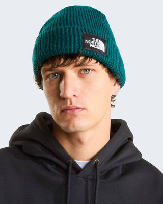 THE NORTH FACE CAPPELLO IN LANA SALTY LINED BEANIE NF0A8CGZN4J1