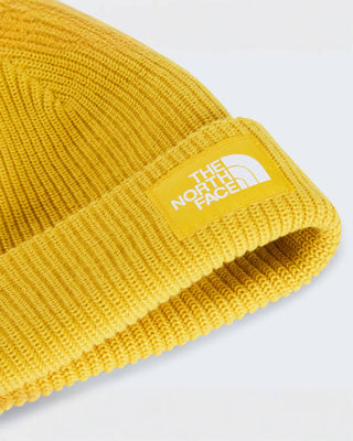 THE NORTH FACE CAPPELLO IN LANA SALTY LINED BEANIE NF0A8CGZNO71