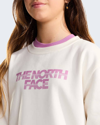 THE NORTH FACE FELPA CHALBI JR NF0A8JH0QLI1