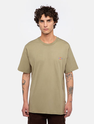 DICKIES T-SHIRT MEZZA MANICA
MAPLETON UOMO DK0A4XDB0IP1
