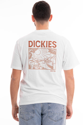 DICKIES T-SHIRT SHORT SLEEVES PATRICK SPRINGS UOMO DK0A4YR7WHX1