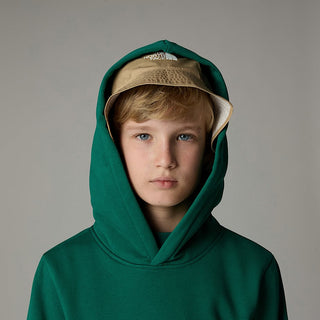 THE NORTH FACE FELPA CON CAPPUCCIO E LOGO JR NF0A89HHNL1