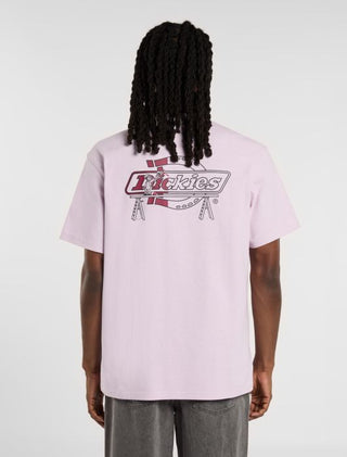 DICKIES T-SHIRT STATESVILLE UOMO DK0A87QPK731