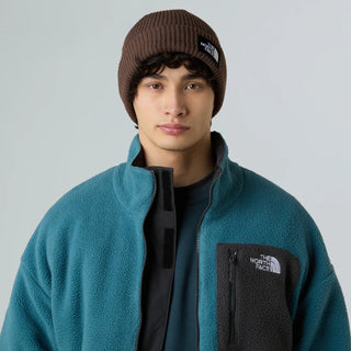 THE NORTH FACE CAPPELLO IN LANA SALTY LINED BEANIE NF0A8CGZ1OI