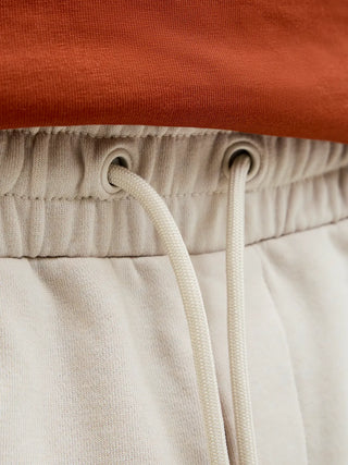 JACK&JONES GORDON BRADLEY BERMUDA IN FELPA UOMO (COL: MOONBEAM) 12249285 MNB