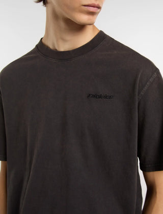 DICKIES T-SHIRT PLENTYWOOD UOMO DK0A866BH86