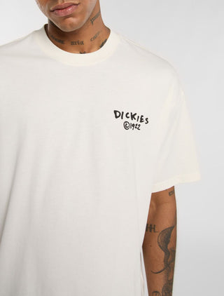 DICKIES T-SHIRT STATESVILLE UOMO DK0A87QOC481