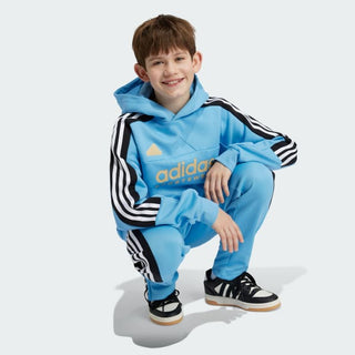 ADIDAS 3 STRIPES HOODIE IY6378
