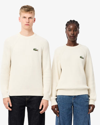 LACOSTE MEN'S PULLOVER AH7742 70V