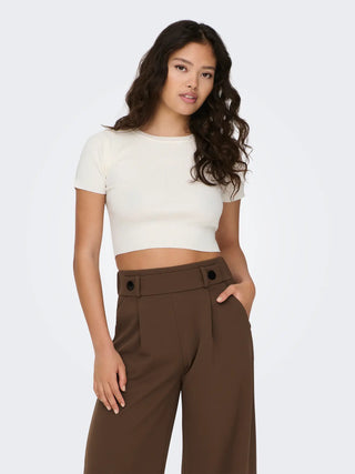 JACQUELINE DE YONG CIRKELINE TOP CROP 15294790 CLD
