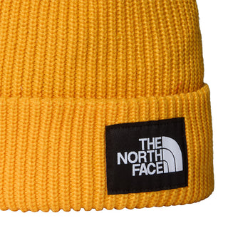 THE NORTH FACE CAPPELLO IN LANA SALTY LINED BEANIE NF0A8CGZ56P