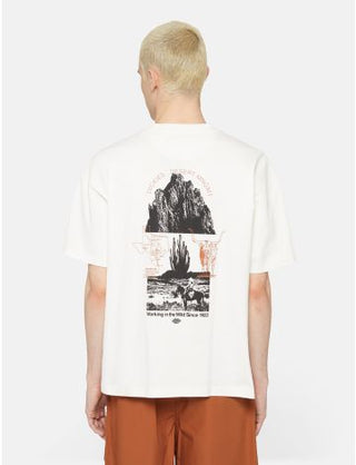 DICKIES PEARISBURG MEN'S SHORT SLEEVE T-SHIRT DK0A4YRKC581