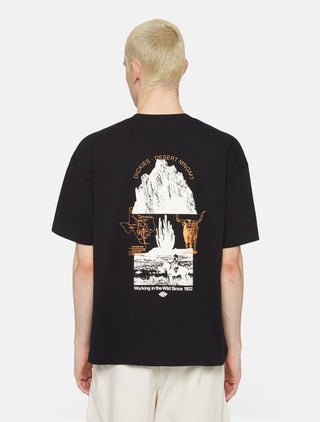 DICKIES PEARISBURG MEN'S SHORT SLEEVE T-SHIRT DK0A4YRKBLK1