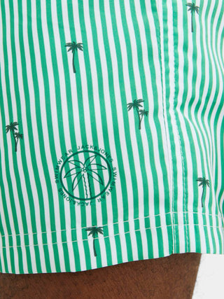 JACK&amp;JONES MEN'S SWIM SMALL STRIPES SWIMMING BOXER 12253240 GRB