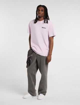 DICKIES T-SHIRT STATESVILLE UOMO DK0A87QPK731