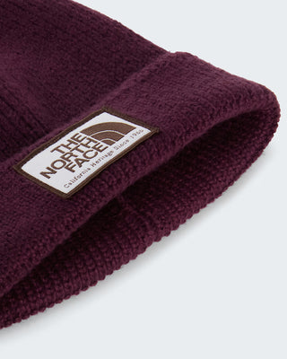 THE NORTH FACE CAPPELLO BOX LOGO THENORTHFACE NF0A8CHE10J