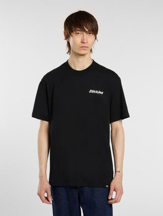 DICKIES T-SHIRT STATESVILLE UOMO DK0A87QPBLK1